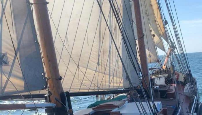 EcoClipper