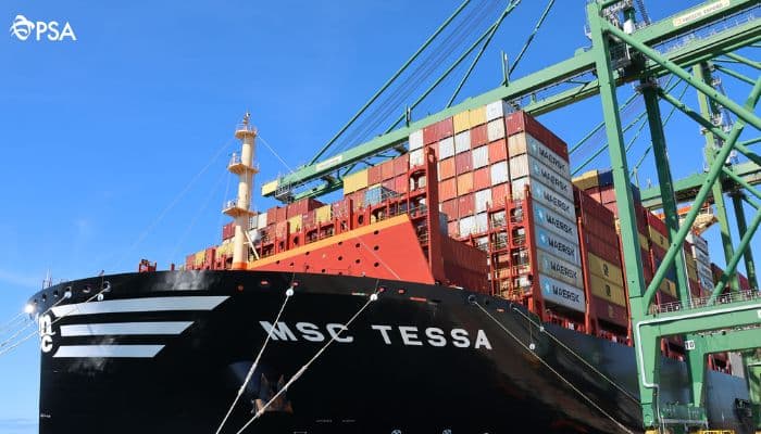 MSC Tessa