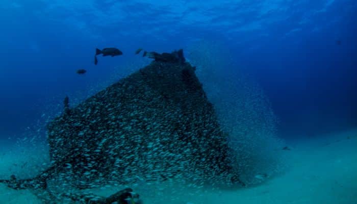 Shipwreck