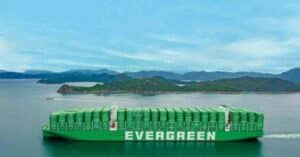 Evergreen