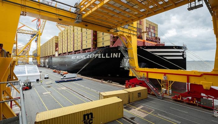 MSC MICHEL CAPPELLINI 