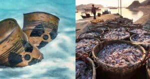 Japan Releases Radioactive Water From Fukushima Nuclear Plant, China Bans Seafood Imports