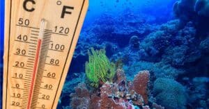 World Oceans Set New Temperature Record Alarming Experts