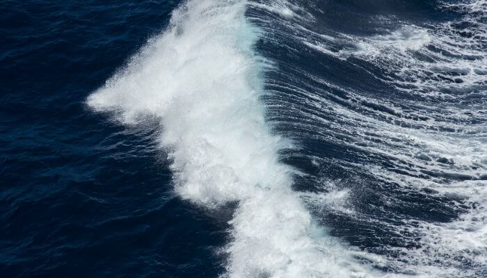 Waves