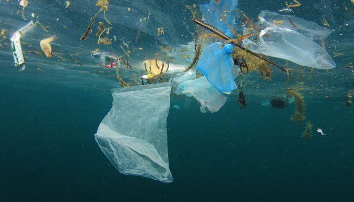 Plastic Pollution