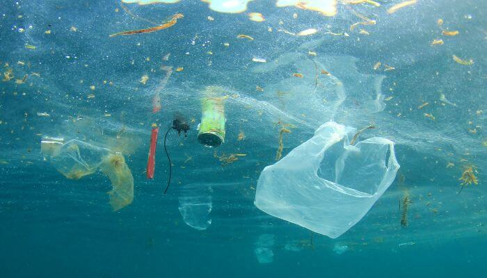 Marine Conservation