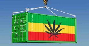 South Africa Witnesses A Surge In Drug Smuggling Cases From Brazil