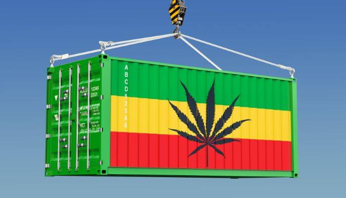 Drug Smuggling