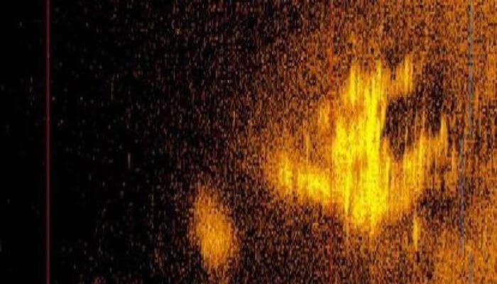 Sonar Image