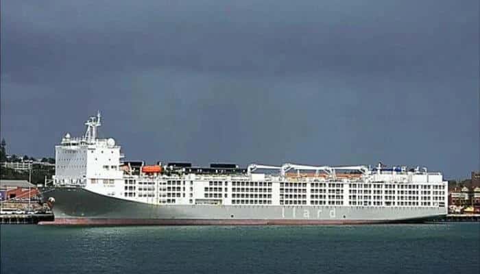 Livestock Carrier