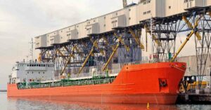 Russia Ships 2,00,000 Tonnes Of “Free Grain” To 6 African Nations As Promised