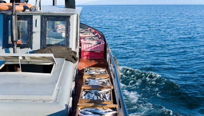 commercial fishery