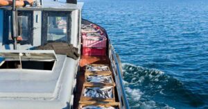Alaska Seafood Shipping Firms Agree $9.5M Settlement On Jones Act Violation Case With U.S.