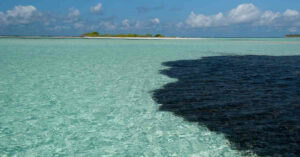 Oil Spill From Tobago Reaches Bonaire's Shores, Posing Serious Threat