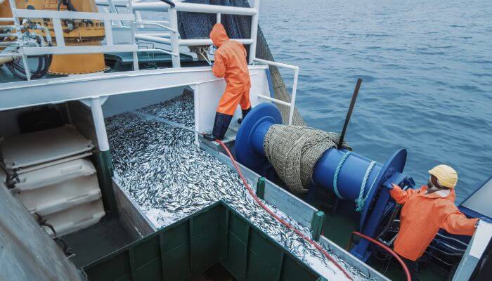 commercial fishery