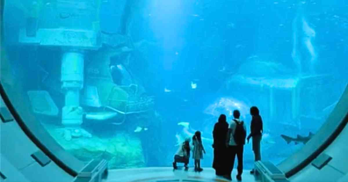 SeaWorld