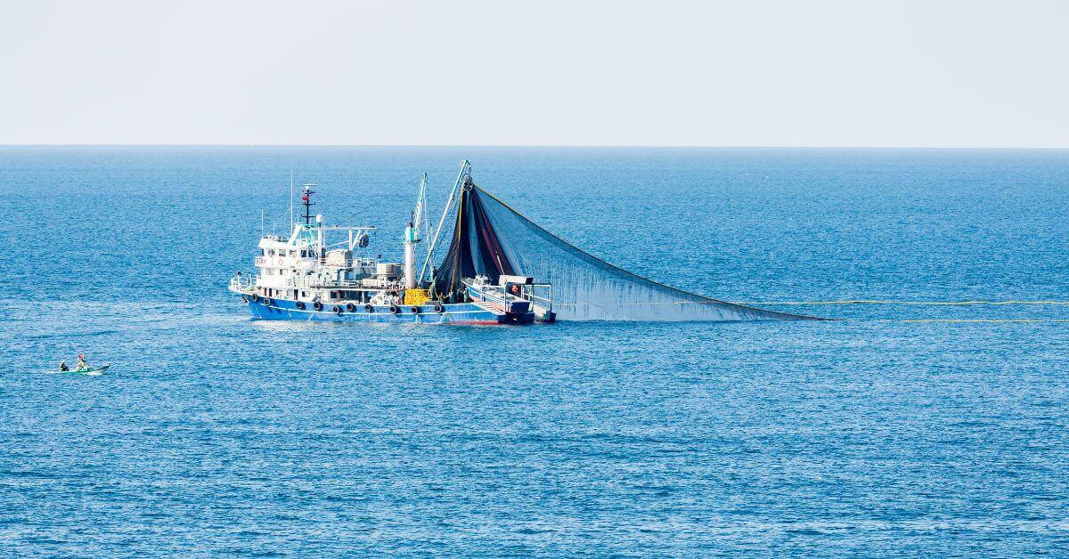 Trawl Fishing Boat