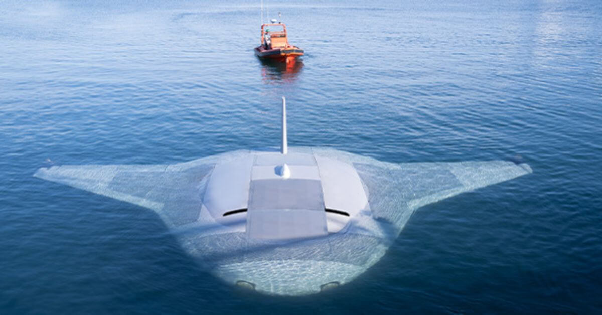 Manta Ray