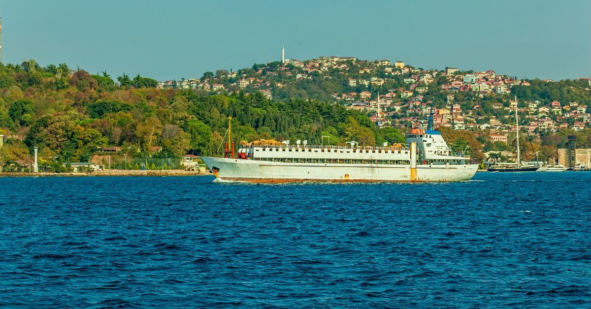 Livestock carrier