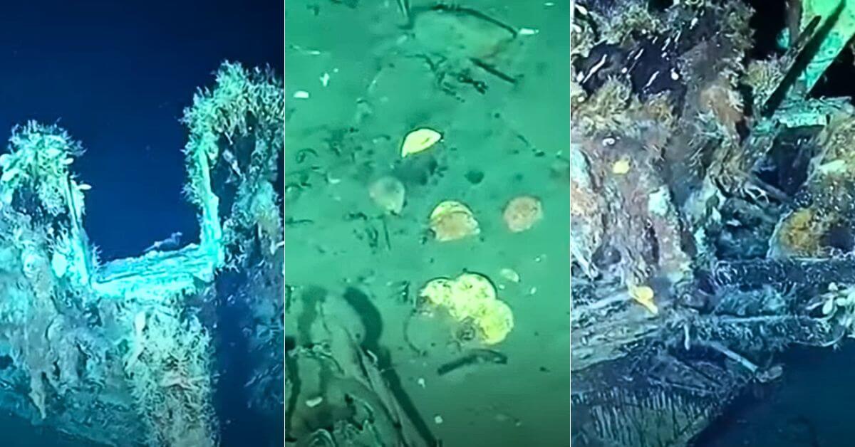 Holy grail of Shipwrecks