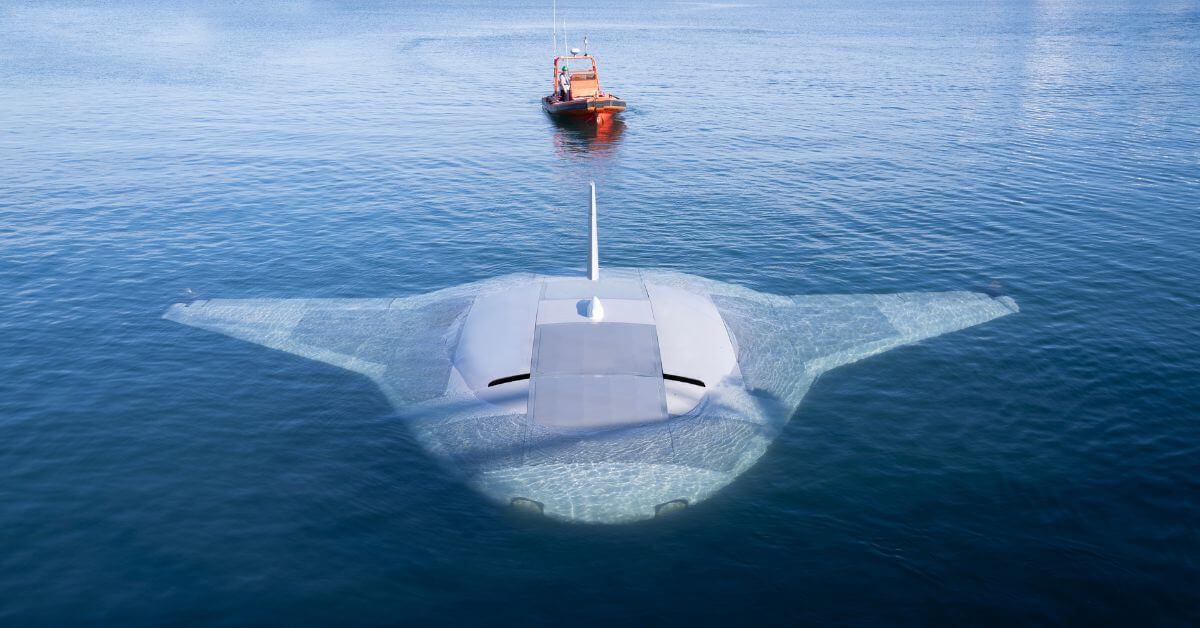 Manta Ray