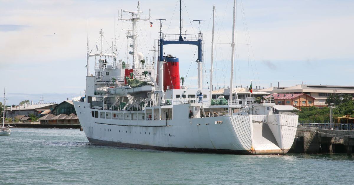 Whale fishing boat