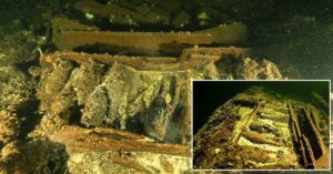 Polish Divers Discover 19th-Century Shipwreck Loaded With 100 Bottles Of Champagne In Baltic Sea