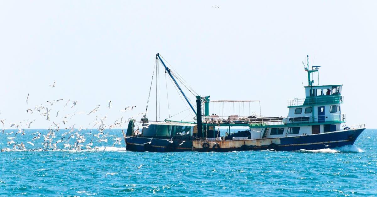 Fishing vessel