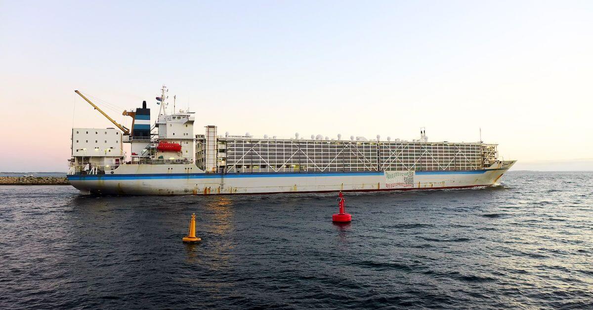 Livestock Carrier