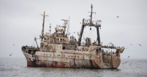 Anti-Whaling Activist Paul Watson Seeks Political Asylum In France To Avoid Possible Extradition To Japan