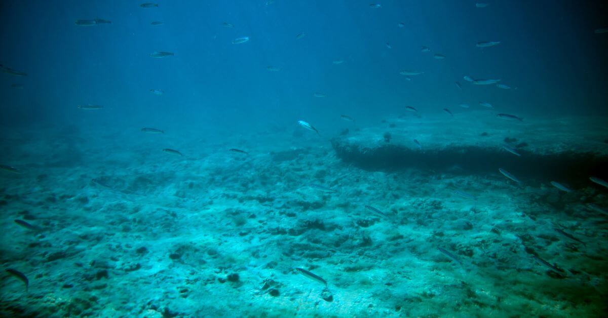 Ocean