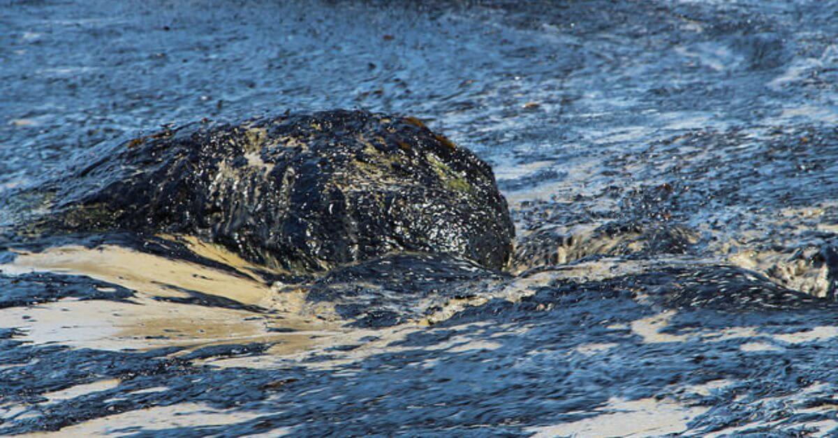 Oil Spill