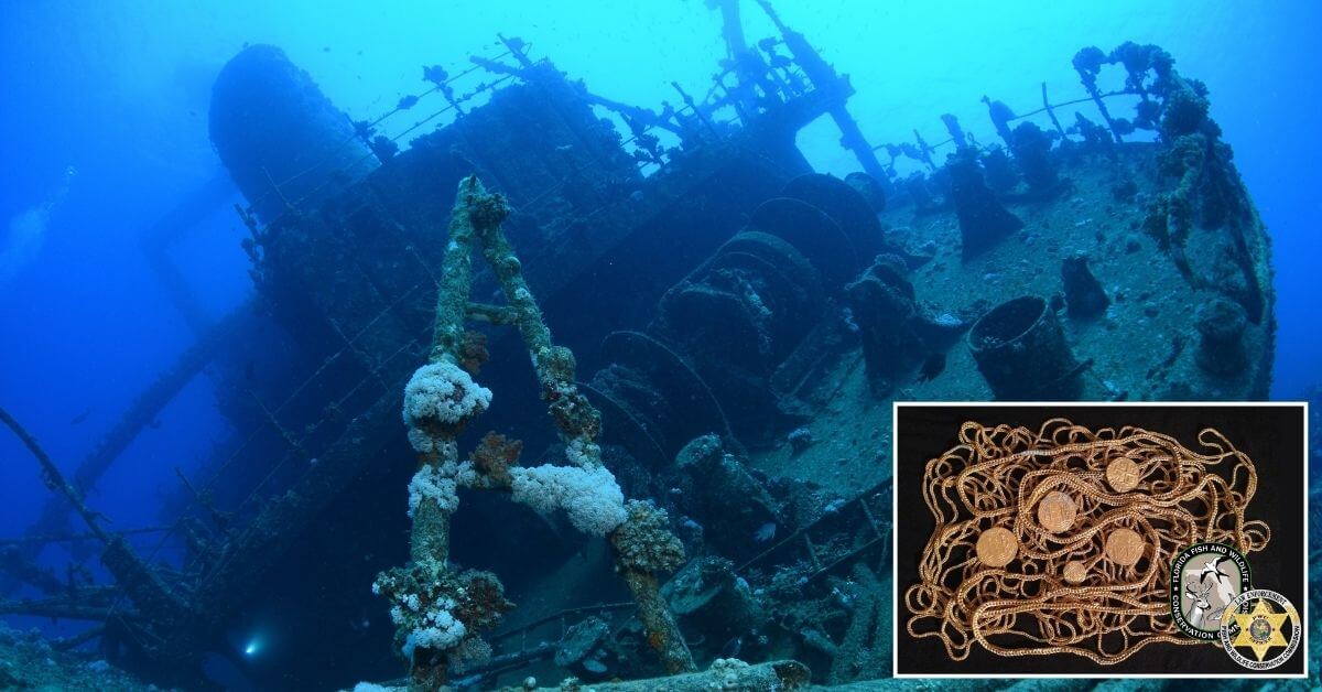 Shipwreck