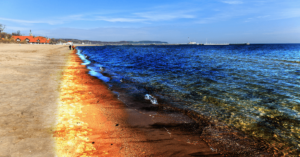 Black Sea Beaches Drenched In Oil After Storm Destroys Tankers In Kerch Strait