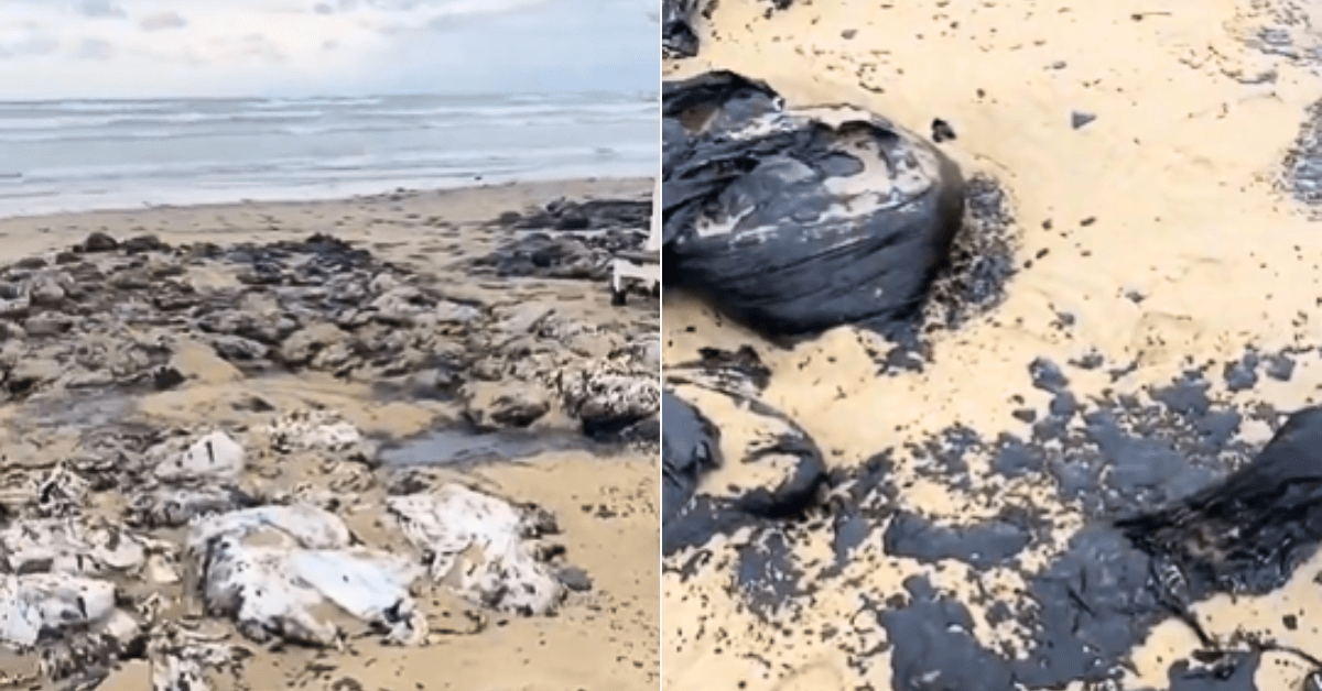 Oily Waste