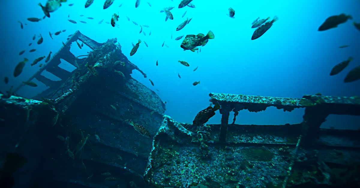 Shipwreck