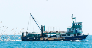 Hijacked Chinese Vessel And Its 18 Crew Members Released By Somali Pirates