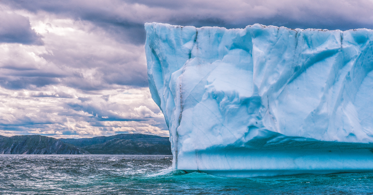 Iceberg