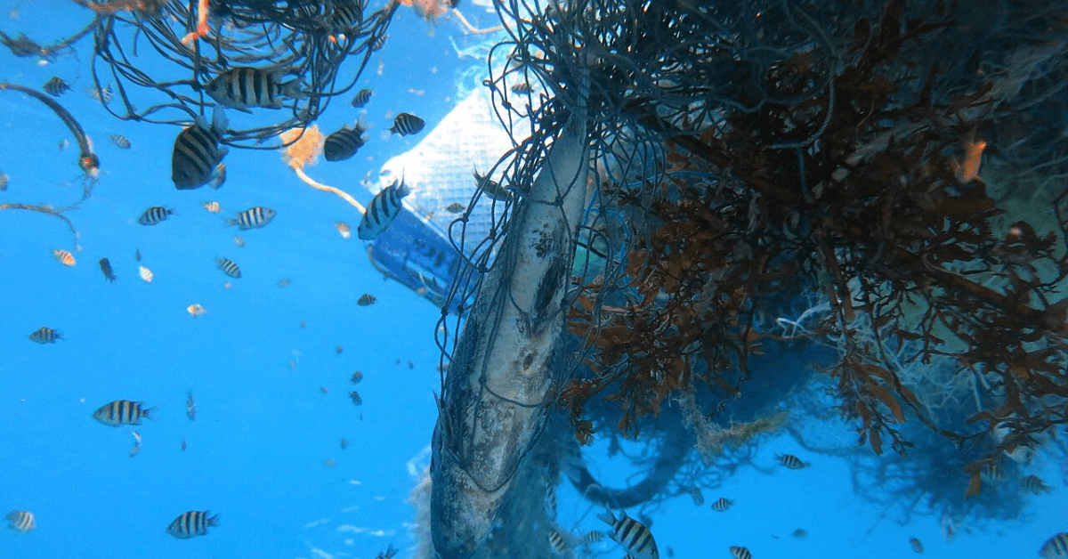 Ghost Nets