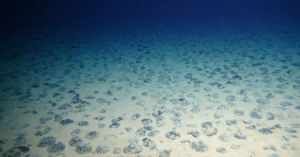 Trump Plans Deep Sea Metal Stockpile To Counter China’s Rare Earth Dominance