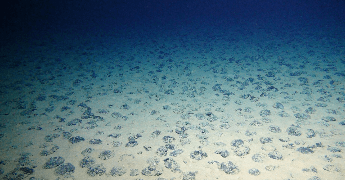 Polymetallic nodules