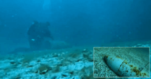 Watch: Ukrainian Navy Retrieves & Destroys Russian Bomb Dropped Near Grain Corridor