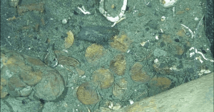 Long-Lost Ship San José Carrying Treasure Worth £16Bn Identified After 300 Years