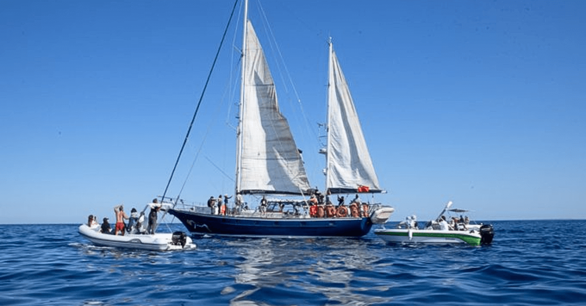 Madleen ship