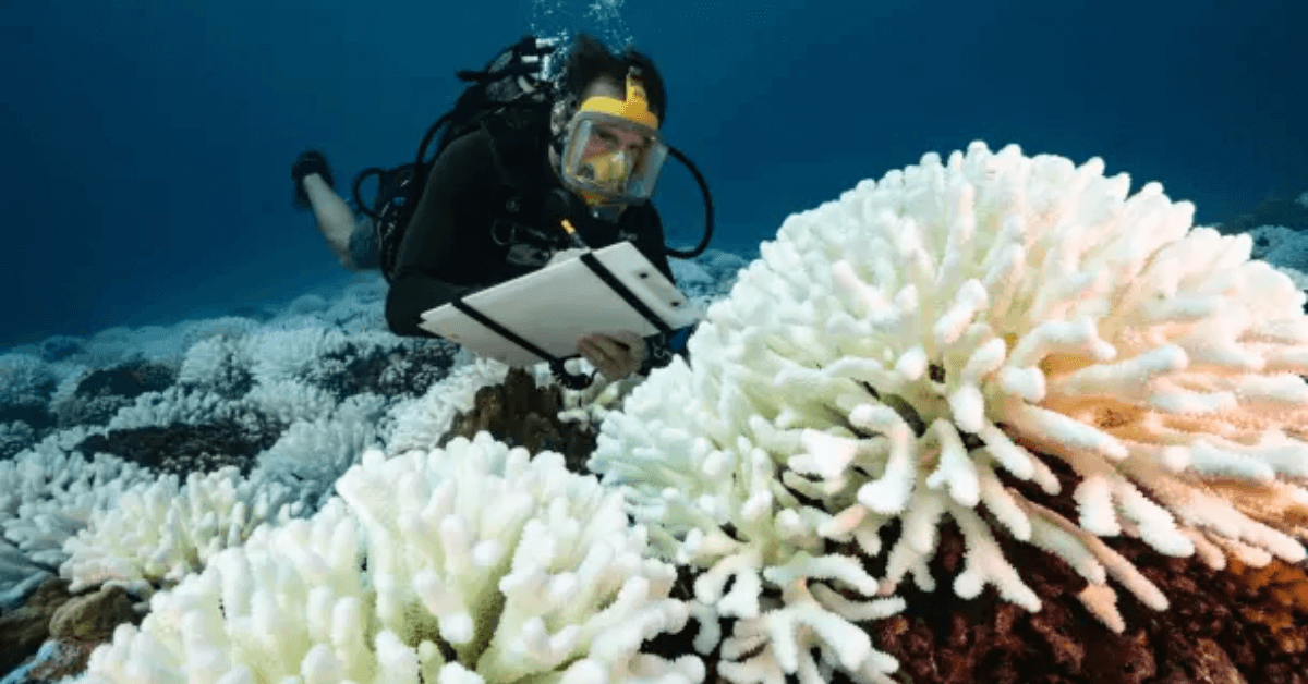 oceanographic research