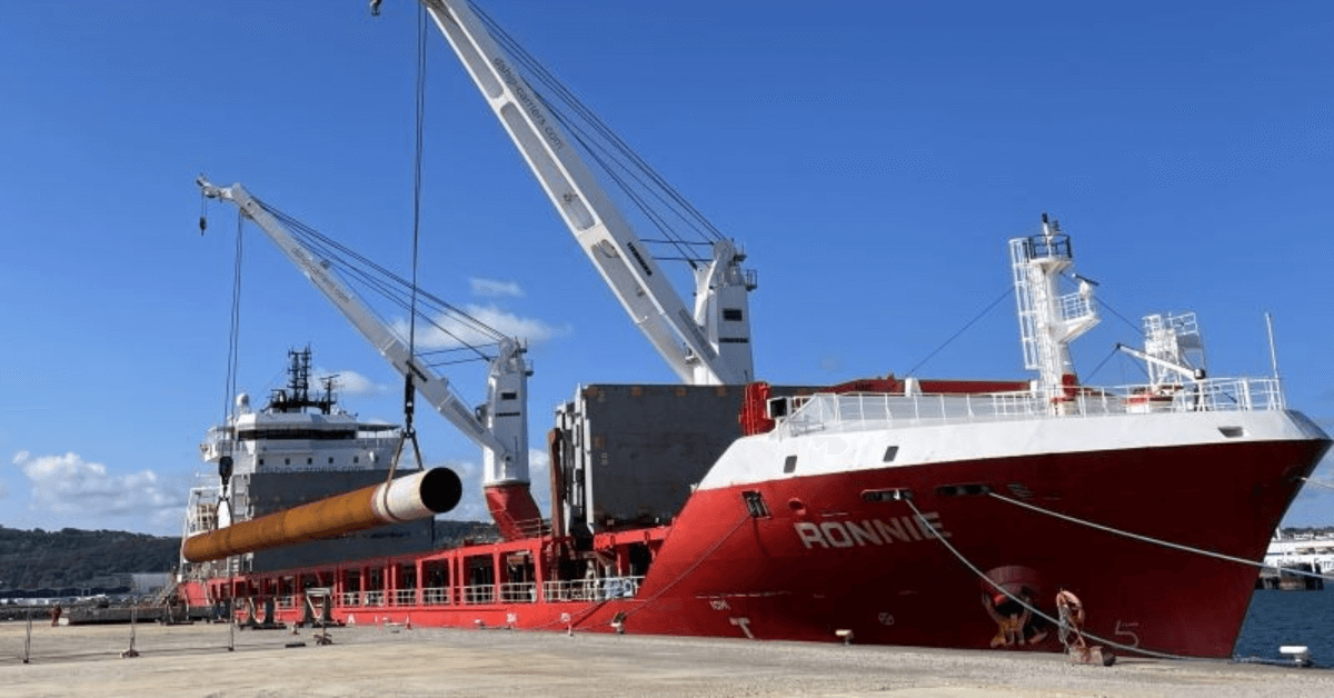 LS 250 heavy-lift ship cranes