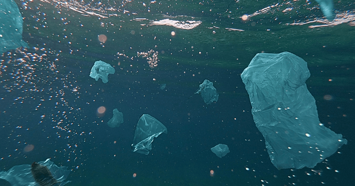 Toxic plastic waste