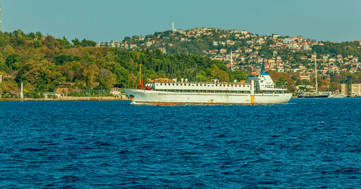 livestock carrier