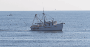 Ghana Passes Landmark Fisheries Law To Tackle Illegal Fishing & Protect Livelihoods