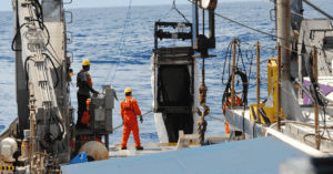 India Blacklists 86 Foreign Vessels Over Abandonment & Abuse Of Indian Seafarers